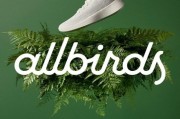 賣鞋轉戰AI？Allbirds股價暴漲六倍