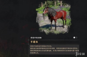 《紅色沙漠》卡莫拉馬馴服指南