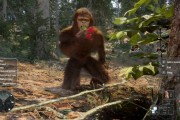 《Bigfoot Life》11月上市，暢享森林生活