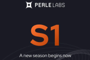 互動教程｜Perle Labs首季積分活動